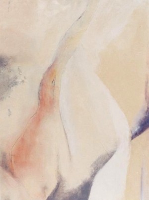 n 49 sur toile 20p 64x81